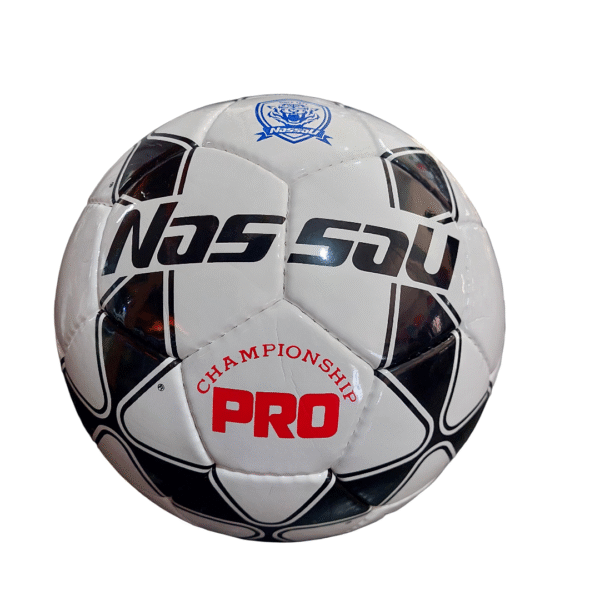 Pelota Nassau PRO F11